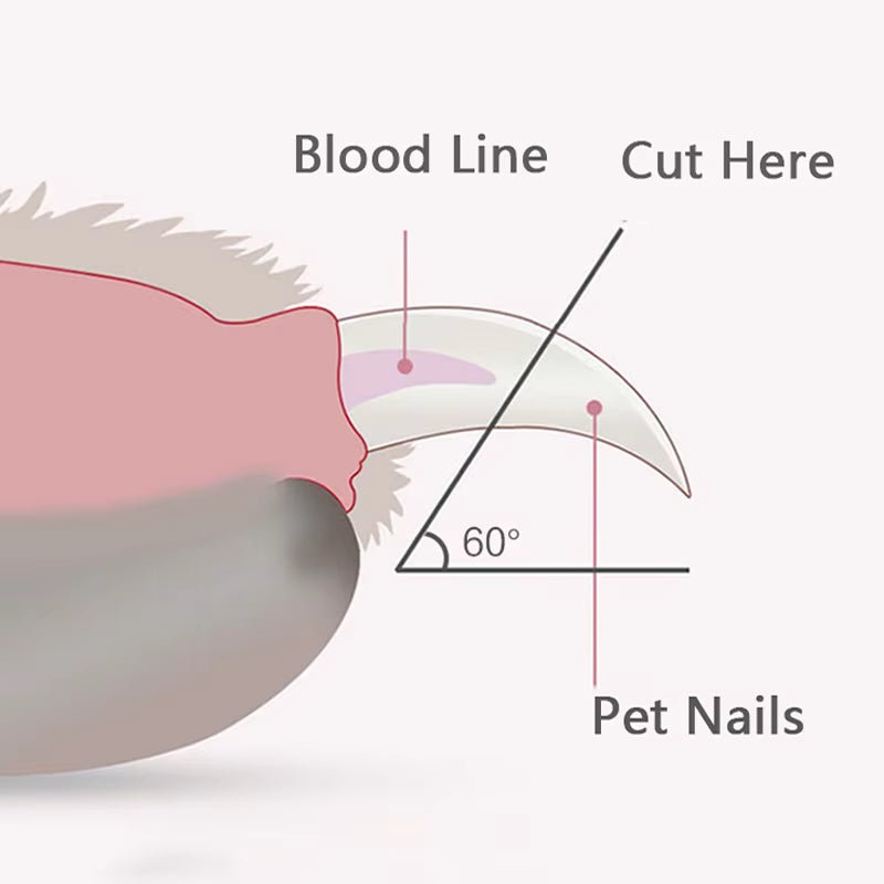 Professional Pet Nail Clippers with LED Light for Dogs, Cats, and Small Animals - Paw Grooming Scissors and Nail Trimmer