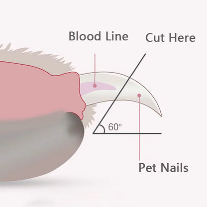 Professional Pet Nail Clippers with LED Light for Dogs, Cats, and Small Animals - Paw Grooming Scissors and Nail Trimmer